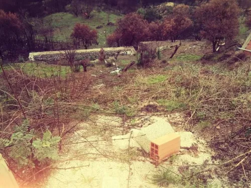 Vente Terrain Tizi Ouzou Ain el hammam
