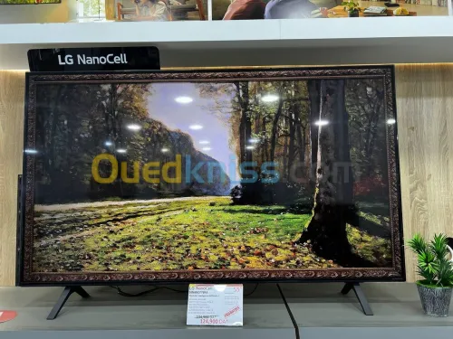 LG 55 POUCE  NANO80 WebOS Smart AI ThinQ, Magic Remote HDR10 HLG AI Sound Pro (5.1.2ch) 2024 New