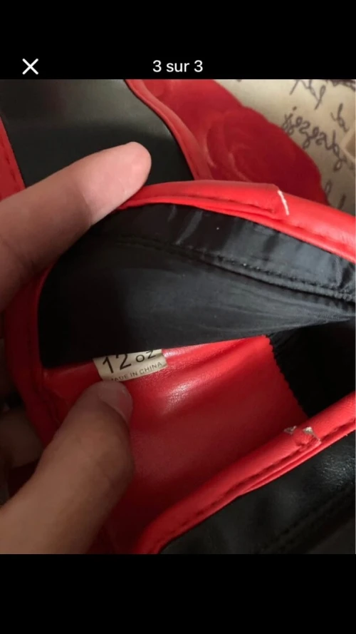 Ligan boxe everlast 12