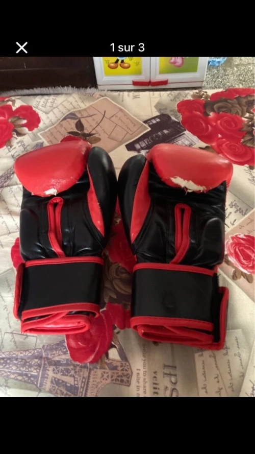 Ligan boxe everlast 12
