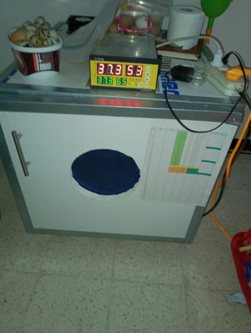 Couveuse automatique 176 oeufs