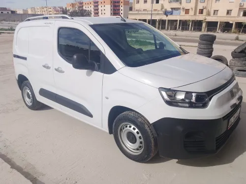Fiat Doblo 2024 2 place