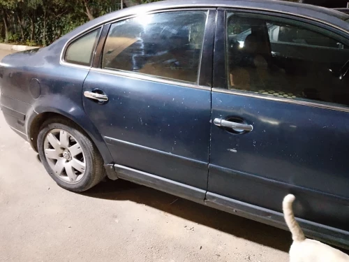 Volkswagen Passat 2004 Passat