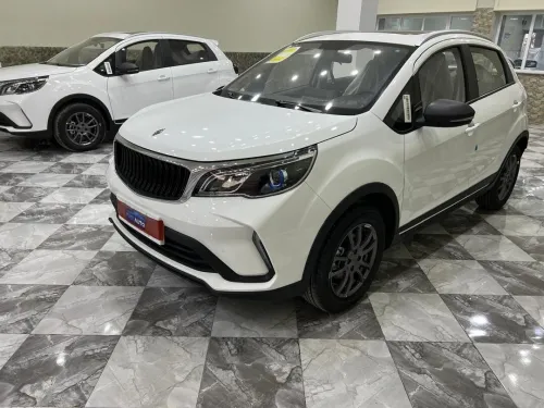 Livan Geely 2026 Dach cam