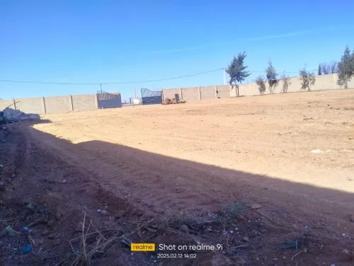 Vente Terrain Sétif Setif