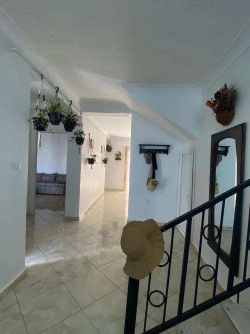 Location Appartement Mostaganem Mezghrane