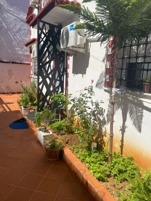Vente Villa Alger El mouradia