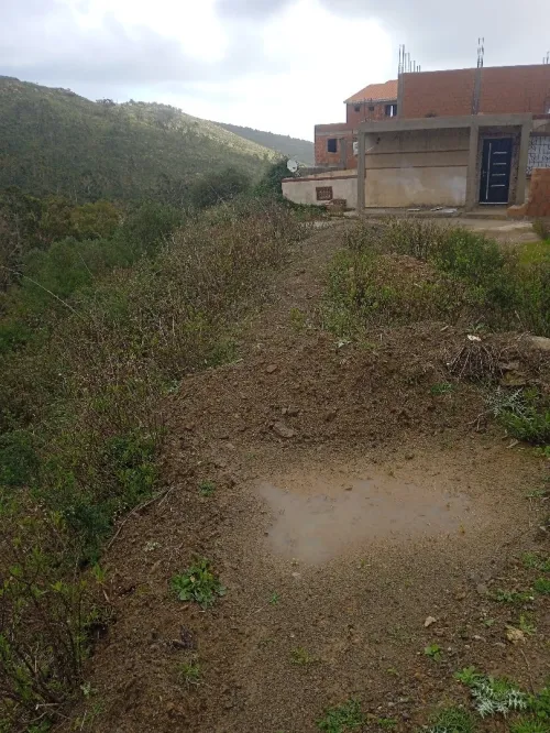 Vente Terrain Tizi Ouzou Azeffoun