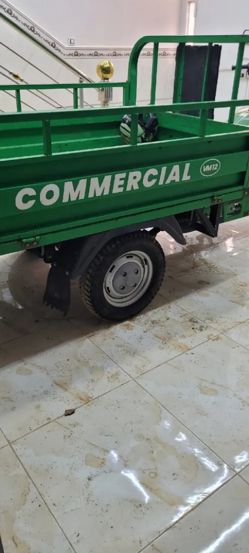 Vms Tricycle 2024