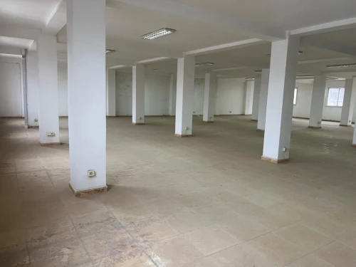 Location Local Alger Bordj el kiffan