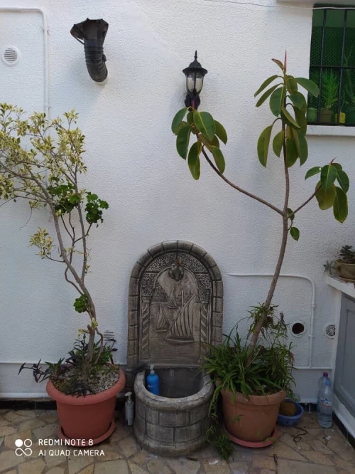 Vente Villa Alger Ain taya