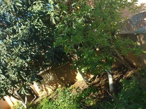 Echange Villa Blida Larbaa