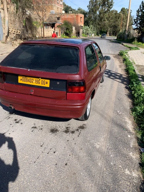 Citroen ZX 1996 ZX