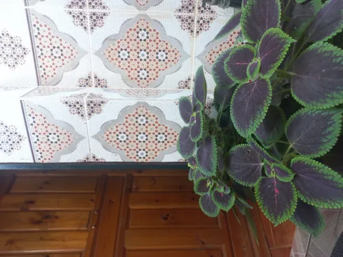 Location vacances Appartement Niveau de villa F2 Alger Alger centre