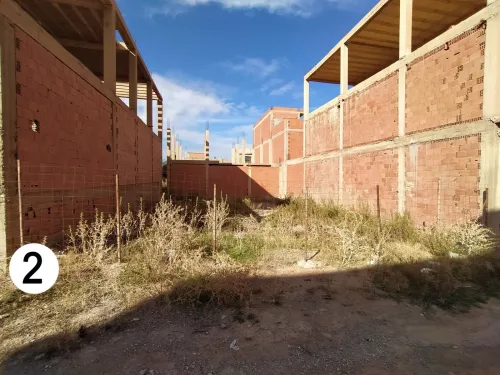 Vente Terrain Tlemcen Tlemcen