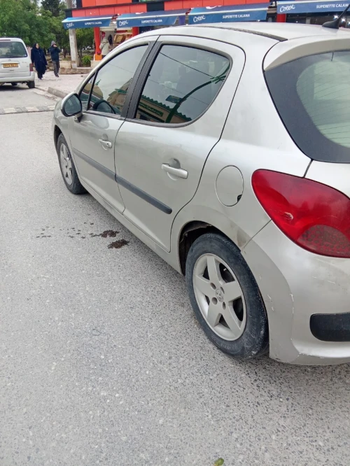 Peugeot 207 2007 Premium