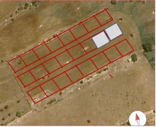 Vente Terrain Aïn Témouchent Sidi safi
