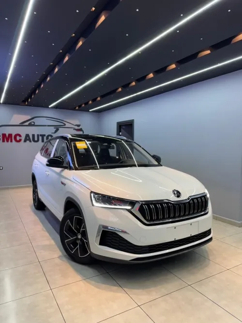 Skoda Kamik 2025 2025