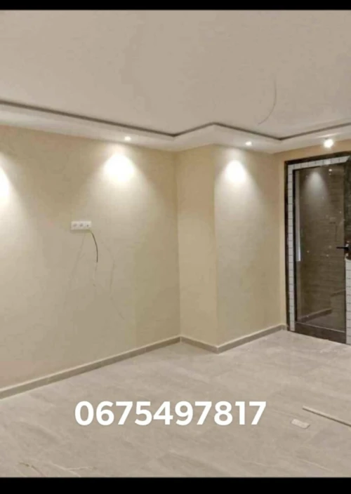Peintre professionnel 