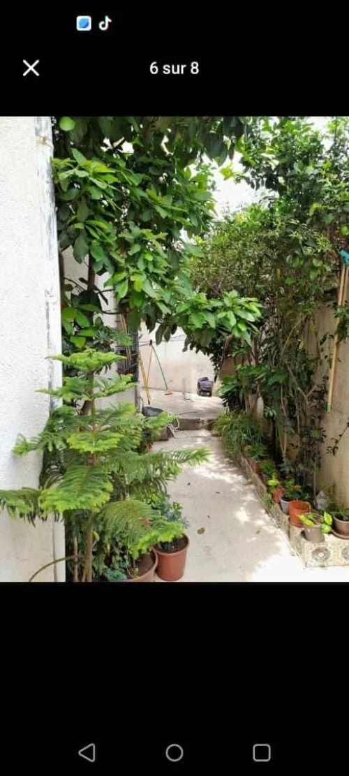 Vente Villa Alger El marsa