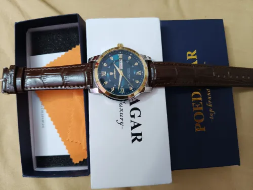 POEDAGAR, Montre de Luxe Homme, bracelet cuir, Étanche,à Quartz, de Haute qualité