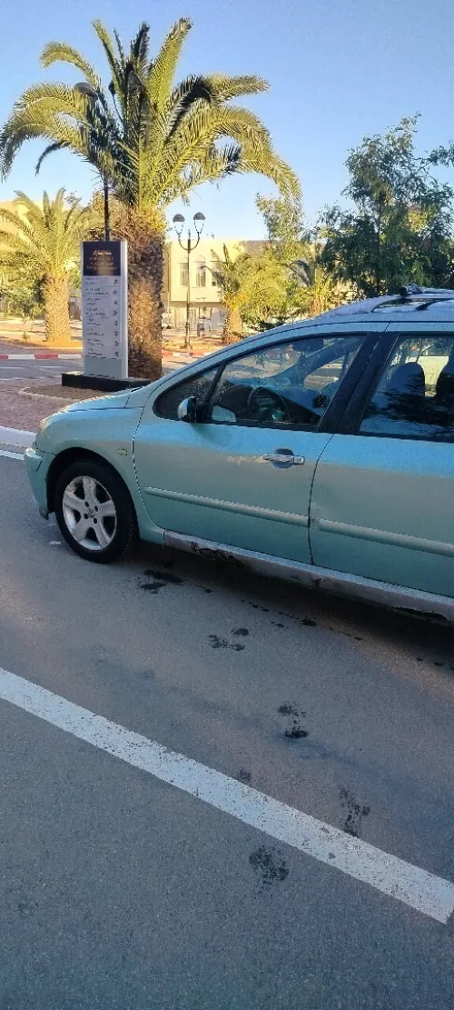 Peugeot 307 2005 SW