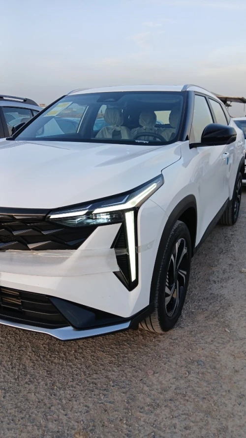 Geely Starray 2025 Cityray