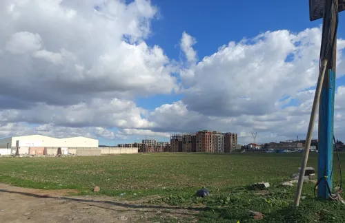 Vente Terrain Alger Tessala el merdja