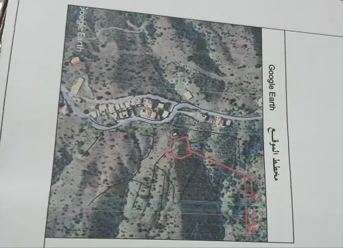 Vente Terrain Sétif Guenzet