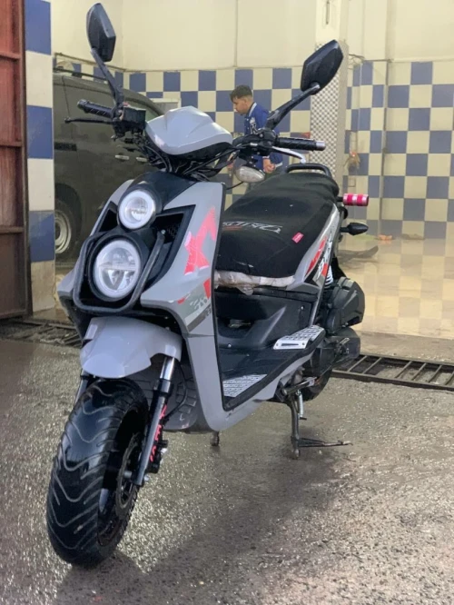 BWS Okinia 2020
