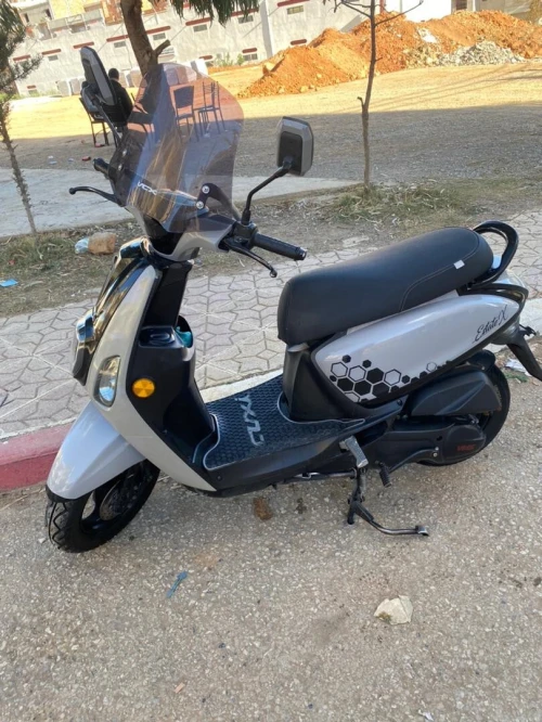 Vms Cuxi Estat x 2021