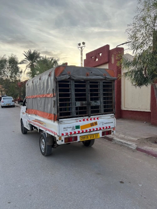 Shenray s100 Mini truck 2,7 m 2013
