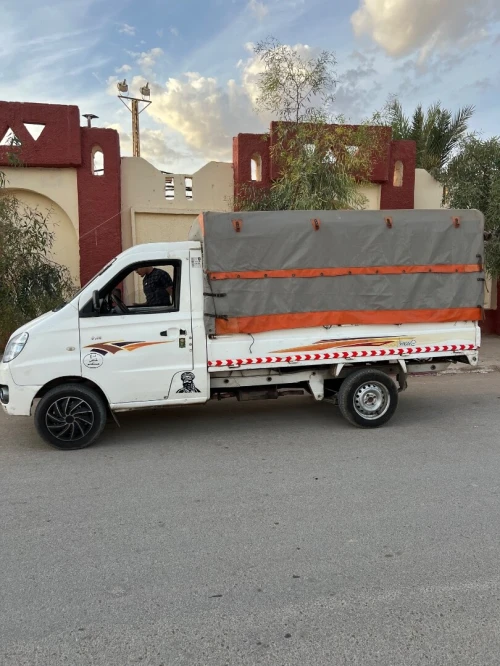 Shenray s100 Mini truck 2,7 m 2013