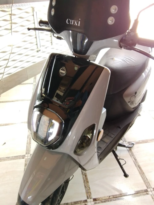 Vms Cuxi estate x 2023
