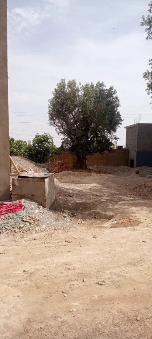 Vente Terrain Tlemcen Tlemcen
