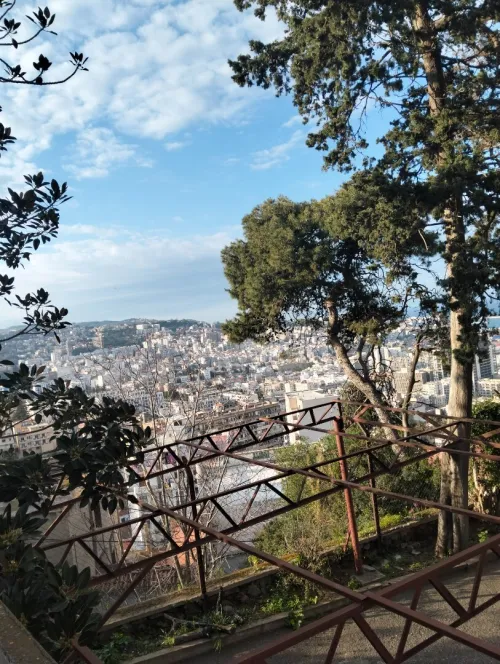Vente Villa Alger El mouradia