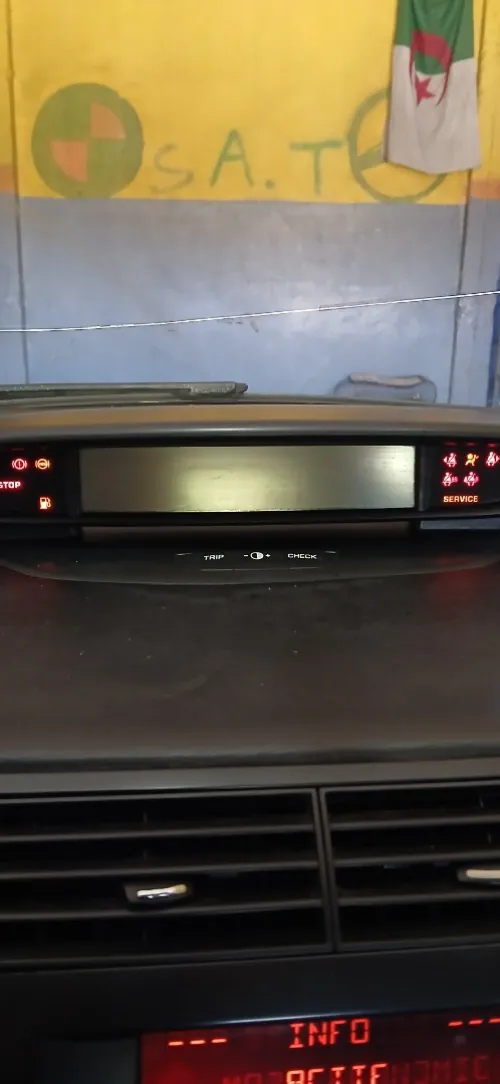 Citroen C4 2008 Vitamine