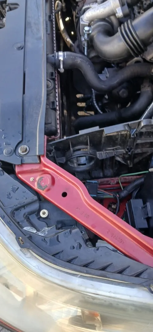 Citroen C4 2008 Vitamine