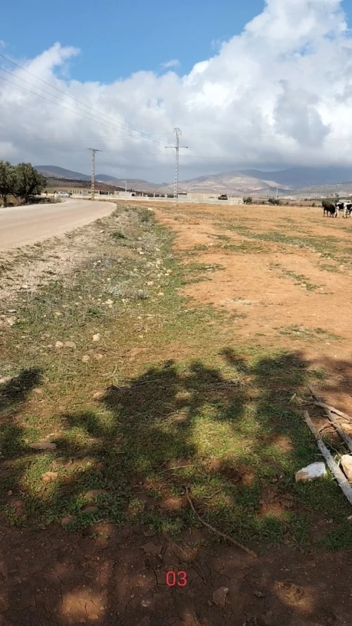 Vente Terrain Agricole Tlemcen Maghnia