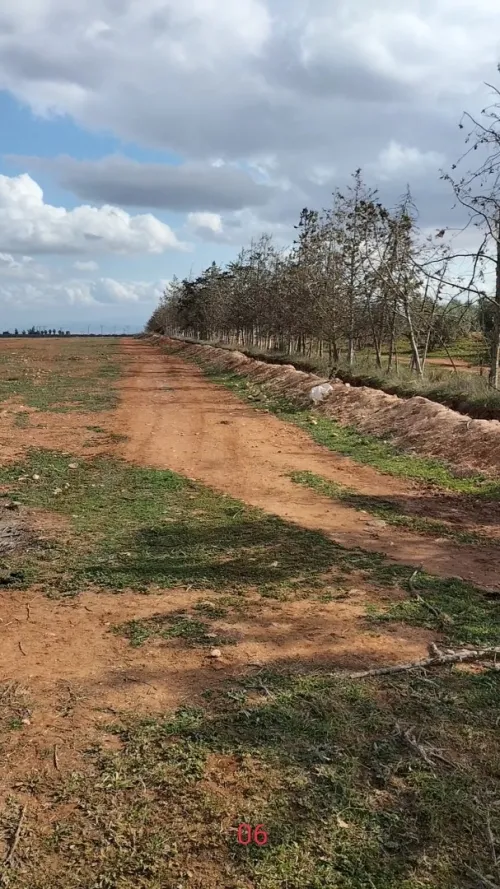 Vente Terrain Agricole Tlemcen Maghnia