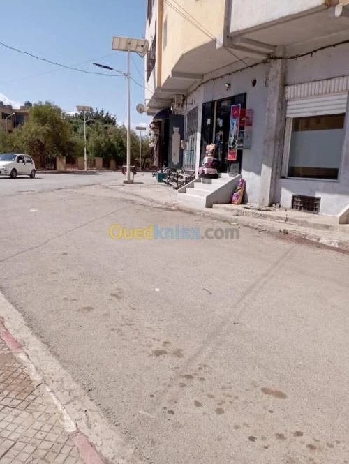 Vente Local Sidi Bel Abbès Sidi bel abbes
