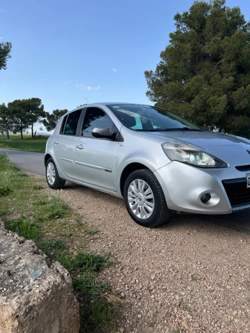 Renault Clio 3 2012 Night and Day