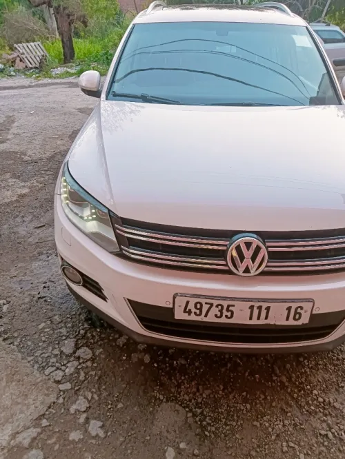Volkswagen Tiguan 2011 Carat +