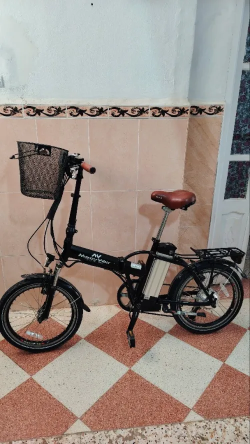 Vélo électrique France 