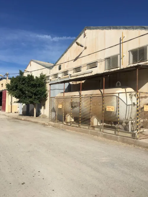 Location Hangar - Usine Mascara Mohammadia