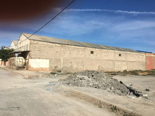 Location Hangar - Usine Mascara Mohammadia