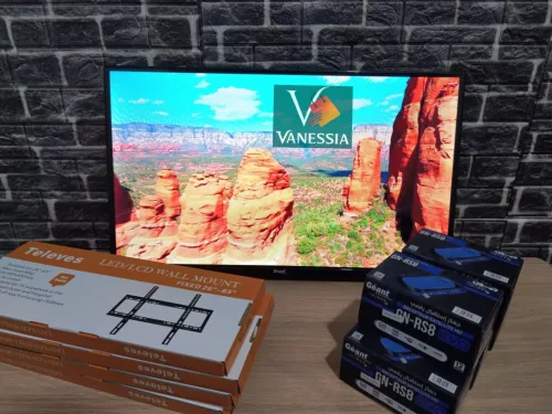 Television