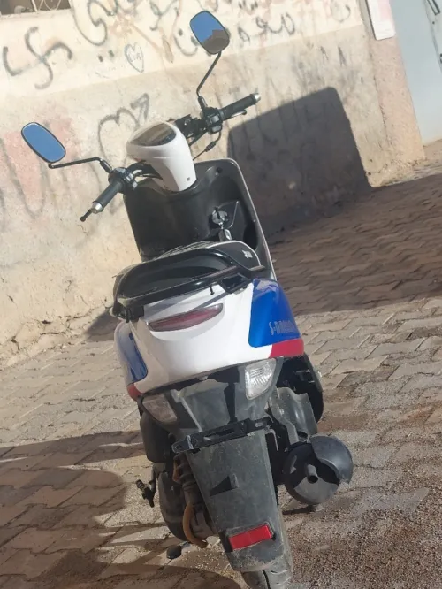 SAM Cuxi2 2022