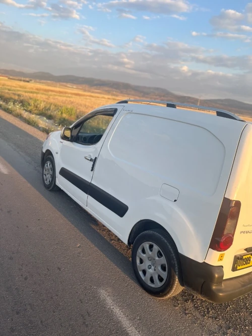 Peugeot B9 2013 2013