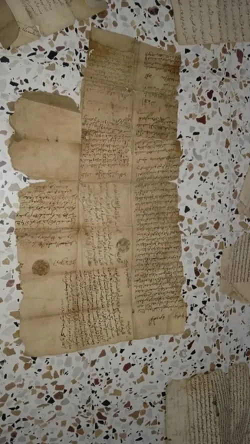 تدقيق لغوي عربي فرنسي انجليزي